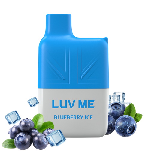 LUV ME SG600 Mesh Coil Disposable Vape 600 Puffs Blueberry Ice