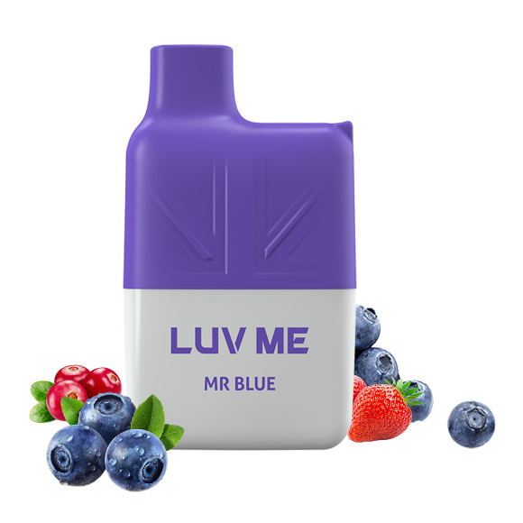 LUV ME SG600 Mesh Coil Disposable Vape 600 Puffs Mr Blue