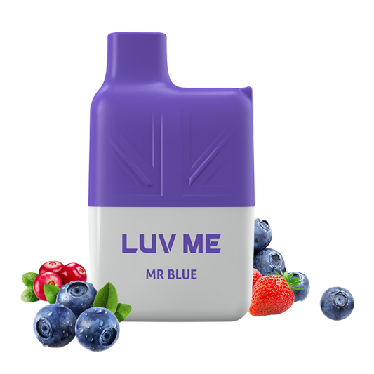 LUV ME SG600 Mesh Coil Disposable Vape 600 Puffs Mr Blue